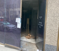 Frette North America – Madison Avenue, NY – In Progress