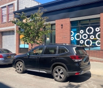 Goldfish Swim School - Astoria, NY