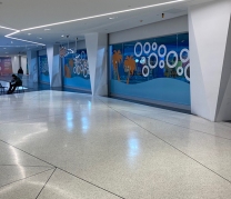 Goldfish Swim School, Flushing, NY