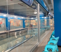 Goldfish Swim School, Flushing, NY