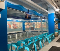 Goldfish Swim School, Flushing, NY