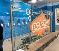 Goldfish Swim School, Flushing, NY