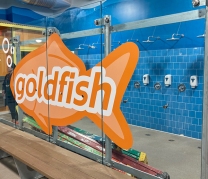 Goldfish Swim School, Flushing, NY