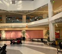 Goldfish Swim School, Flushing, NY