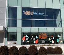 Goldfish Swim School, Flushing, NY