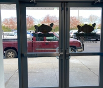 Goldfish Swim School, Glen Oaks, NY