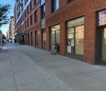 Harlem Children's Zone