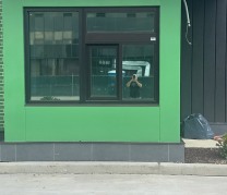 Shake Shack – Hempstead Turnpike, NY
