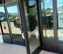 Shake Shack - Port Chester, NY