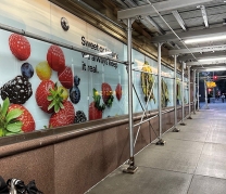 Whole Foods Markets, Daily Shop 3rd Avenue, NY, NY